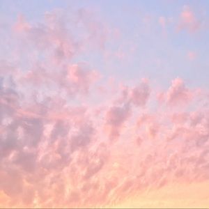 Welcome to my shop, “Delicate Blossom”!